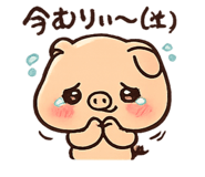 841399003