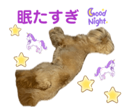 841399016
