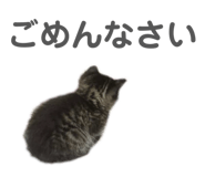 841399254