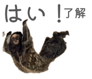 841399257