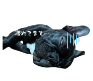 841399268