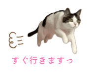 841399401
