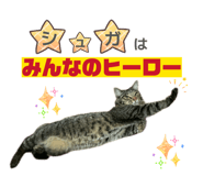 841399403