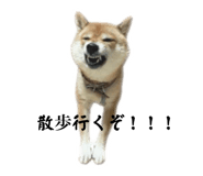 841399490