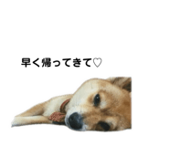 841399491