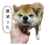 841399492