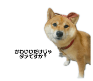 841399493