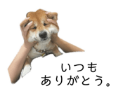 841399494