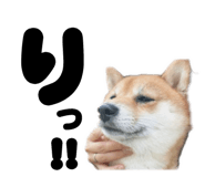 841399496