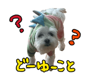 841399738