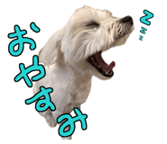 841399740