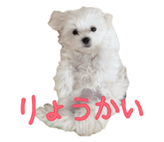 841399744