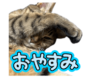 841399765