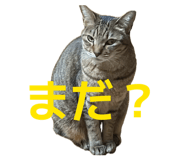 841399768