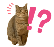 841399771