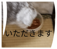 841399913