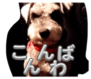 841399920
