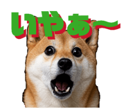 841400027
