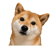841400031