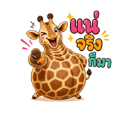 841400797