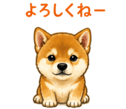 841401090