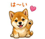 841401092