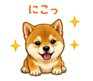 841401093