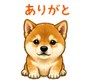 841401094