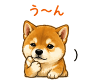 841401095