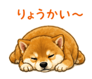 841401096