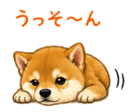 841401104