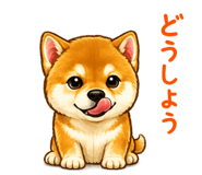 841401107