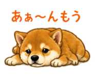 841401108