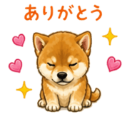 841401112