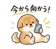 841401739