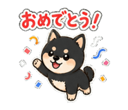 841402211