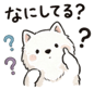 841402591