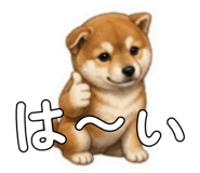 841403426