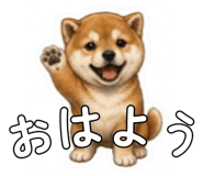 841403429