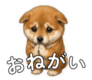 841403432