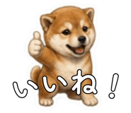 841403433