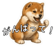 841403439