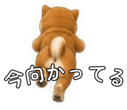 841403441