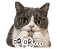 841407933