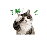 841409686
