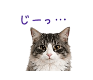 841409691