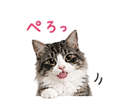 841409692