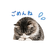 841409694
