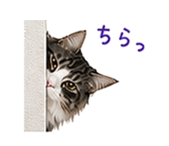 841409699