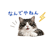 841409701